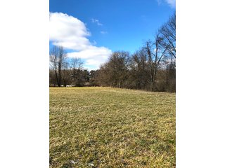 Property photo 2 - REAL ESTATE AUCTION - 30.5+/- ACRES IN 3 TRACTS IN KOSCIUSKO COUNTY, INDIANA